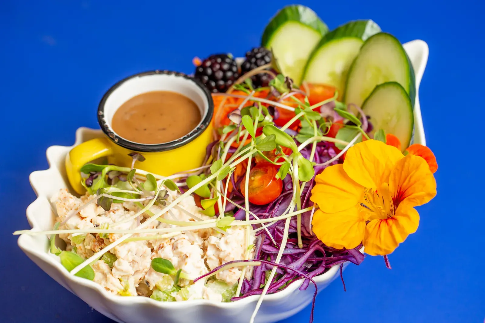 salade jardin poulet